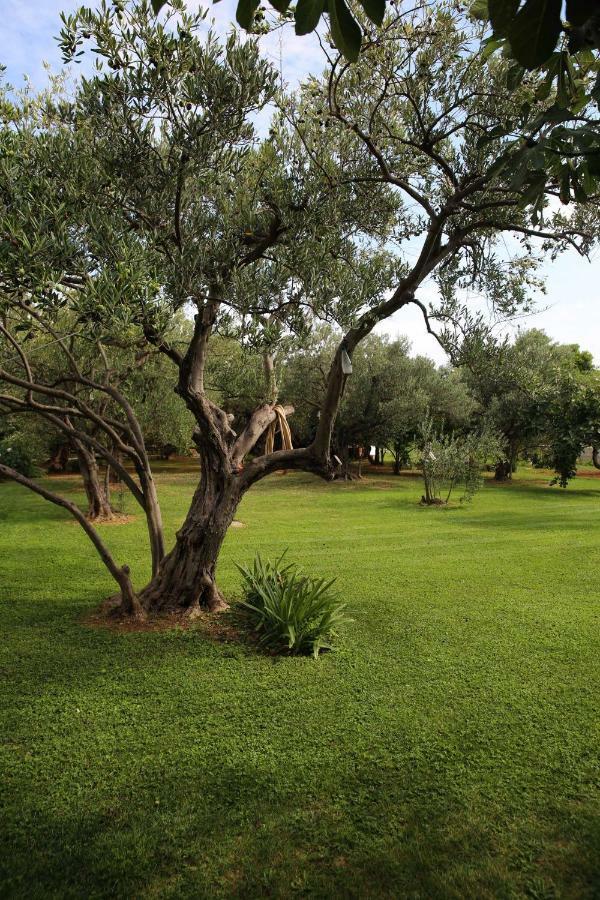 Villa Spanja Водице Екстер'єр фото